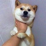 Laura Martínez avatar